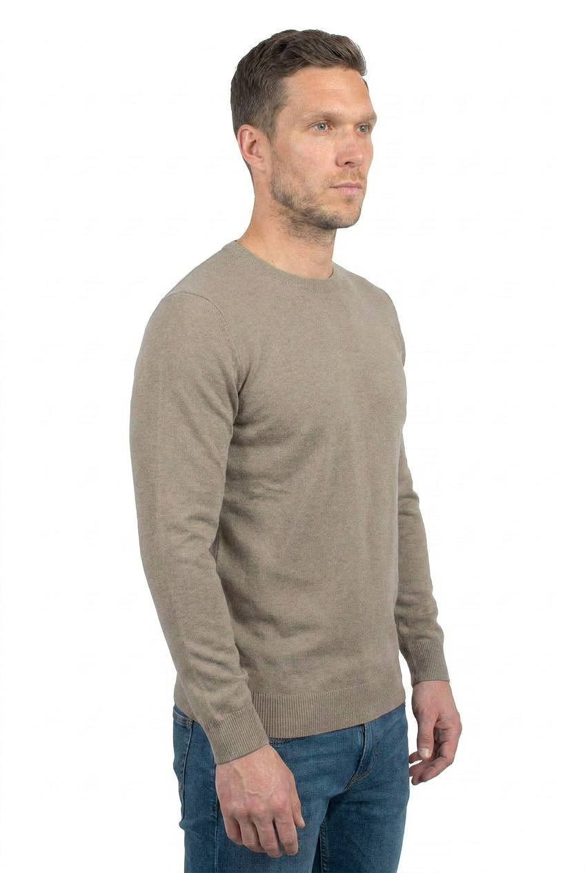 Men's 100% cotton crewneck, colour Taupe, view 2 | Dalle Piane Cashmere